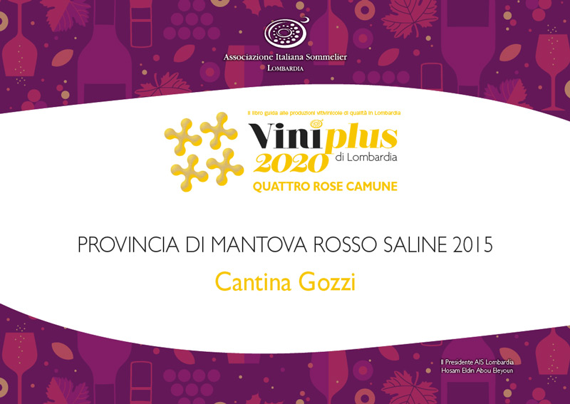 viniplus-2020