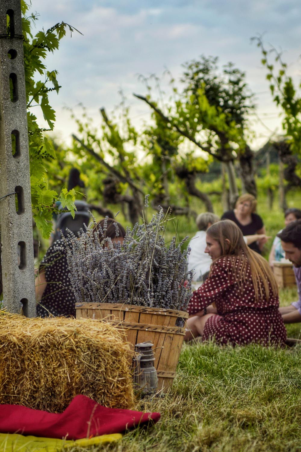 Esperienze-picnic_DSC1253